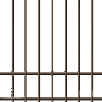 Penguin Crime Sticker by Pudgy Penguins