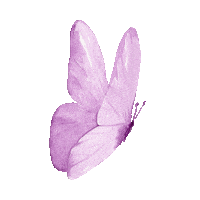 Fly Butterfly Sticker
