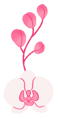 Pink Blooming Sticker by Anne Jotun