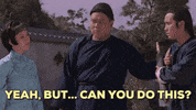 martial arts mad skills GIF by Shaw Brothers