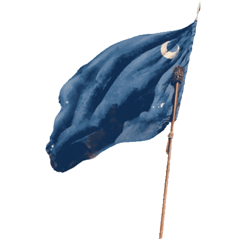 Flag Waving Sticker by Chernoff Newman