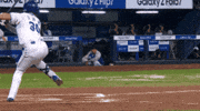 야구 GIF