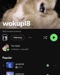 Spotify GIF