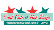 Adopt 4Th Of July Sticker by adltexas