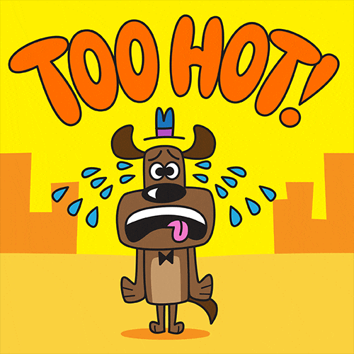 Heat Wave Dog GIF by joeyahlbum
