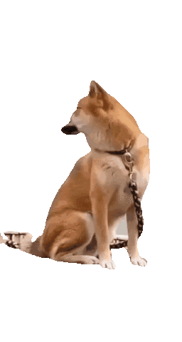 Shiba Inu Dog Sticker by adridreal