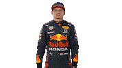 Ver Red Bull Sticker by Oracle Red Bull Racing