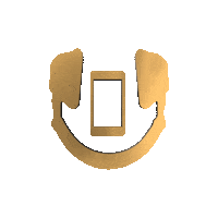 Gold Spinning Sticker by Nova Sound