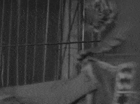 classic film oshaughnessys boy GIF by Warner Archive