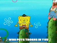 season 5 GIF by SpongeBob SquarePants