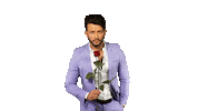 ich bin ein star domenico de cico Sticker by RTLde