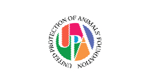 Upa Sticker by upafoundation