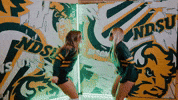 Volleyball Bison GIF by NDSU Athletics