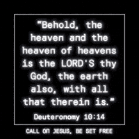 Behold Out Of This World GIF