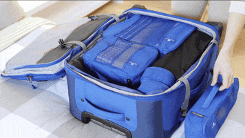 how to organization GIF by The Container Store