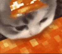 Cat Fire GIF
