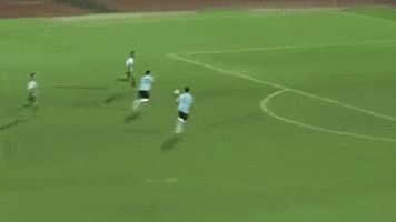 the new saints football GIF by TNSFC