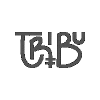 Sinergia_Tribu tribu sinergia sinergia tribu sinergiatribu Sticker