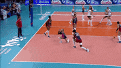 Lo Siento Oh No GIF by Volleyball World
