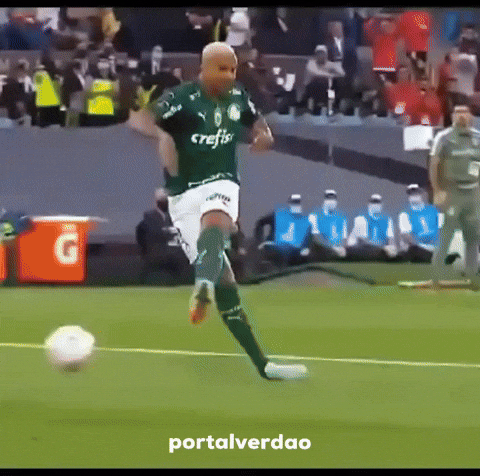 Fla Sep GIF