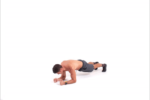 plank stills GIF