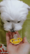 GIF by Demic