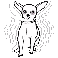 Dog Shaking Sticker