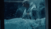 El Conejo Malo GIF by Bad Bunny