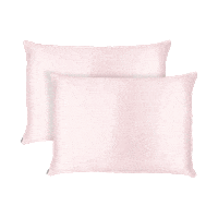 Sleep Pillowcase Sticker by Shhh Silk