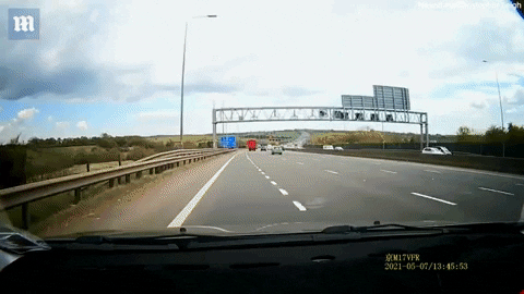 insight1 giphyupload GIF