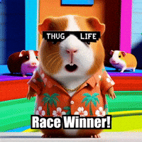 Proud Guinea Pig GIF by Guinea Gambino