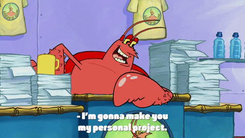 season 9 GIF by SpongeBob SquarePants