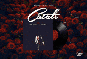Live Music Festival GIF by Catāli