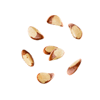 Food Nuts Sticker by IMA - Influencer Marketing Agency