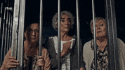 Estoy Vivo Bus GIF by Globomedia
