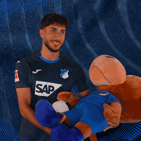 Sport Bundesliga GIF by TSG Hoffenheim
