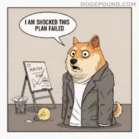 Shocked Shiba Inu GIF by Doge Pound