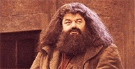 hagrid GIF