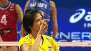 Happy Fun GIF by Volleyball World