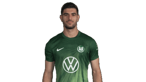 Football Love Sticker by VfL Wolfsburg