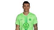 Football Love Sticker by VfL Wolfsburg