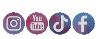 Detijsoutakylidi logo djtl dětijsoutakylidi detijsoutakylidicz Sticker