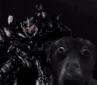 Transformers Movie GIF