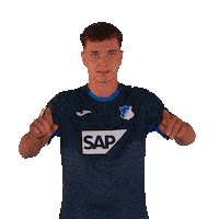 Sport Bundesliga Sticker by TSG Hoffenheim