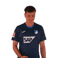 Sport Logo Sticker by TSG Hoffenheim