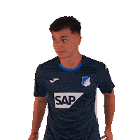 Sport Bundesliga Sticker by TSG Hoffenheim