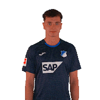 Sport Bundesliga Sticker by TSG Hoffenheim