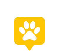 Mimosacommunication dog like chien jaime Sticker
