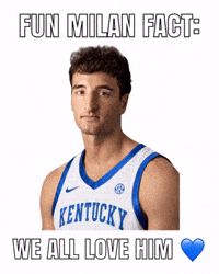 Kentucky Wildcats GIF