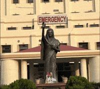 Emergency Congress GIF